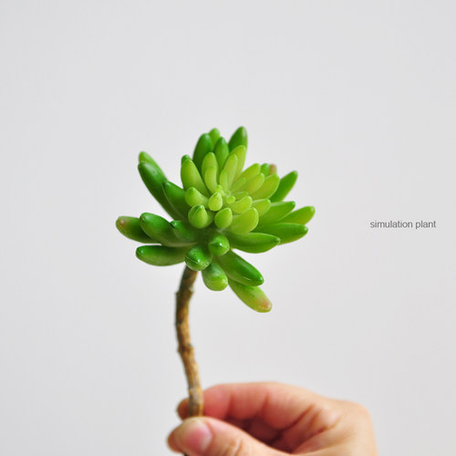仿真多肉植物佛手绿植家居饰品