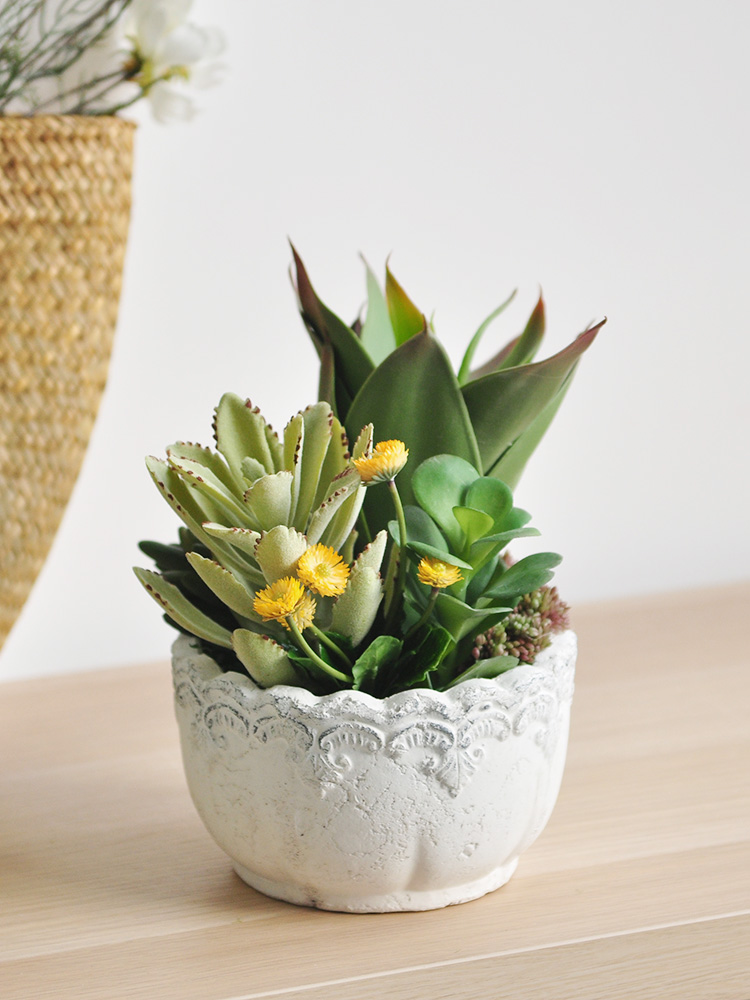 仿真多肉植物组合盆栽 自然风格手作桌摆植物装饰花艺盆景 art418