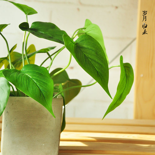 九思仿真绿植物盆栽假绿萝方仿生