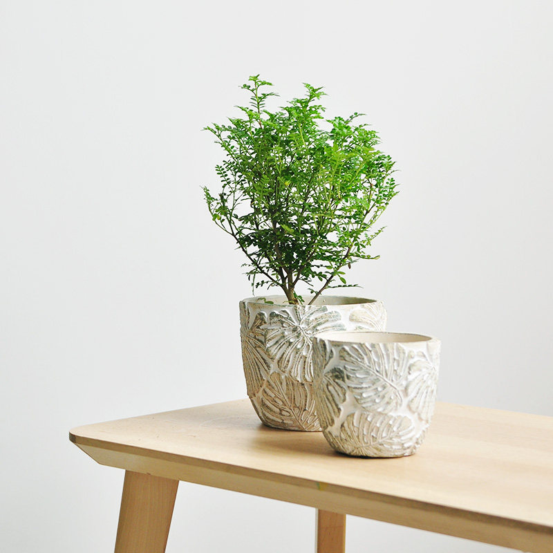 包邮 浮雕花纹装饰水泥花盆绿植多肉植物种植盆 作旧厚重色彩p023