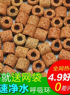 鱼缸水族箱过滤材料红色呼吸环 硝化细菌屋陶瓷环生化环滤材500g