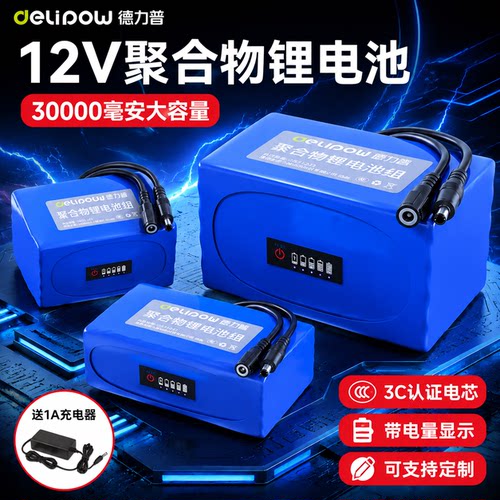 德力普12v聚合物锂电池大容量24v