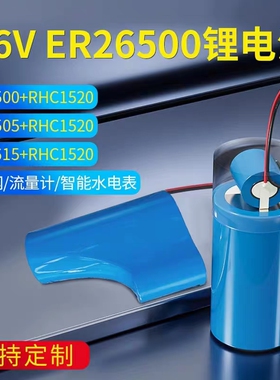 德力普ER26500+RHC1520锂亚电池仪器仪表3.6V物联网流量计电池组