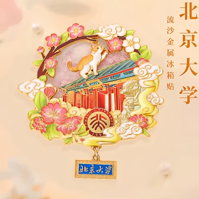 清华北大复旦浙江武汉南京大学冰箱贴文创纪念品送学生创意小礼物