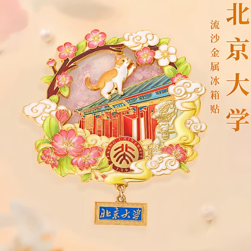 清华北大复旦浙江武汉南京大学冰箱贴文创纪念品送学生创意小礼物