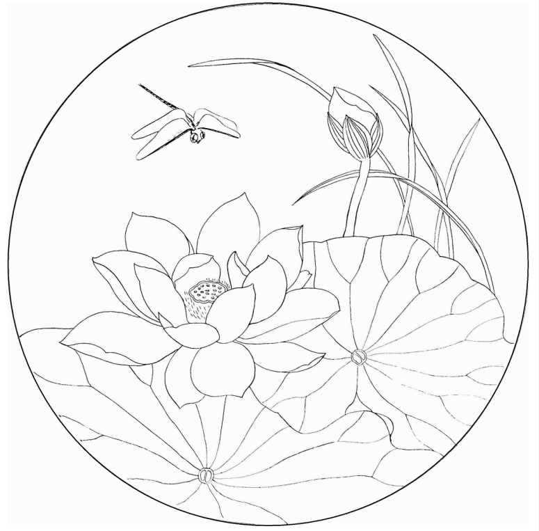 工笔画底稿工笔花鸟荷花蜻蜓团扇小品白描3#打印稿宣纸稿学习临摹