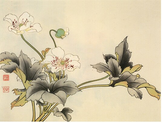 工笔画底稿俞致贞花卉打破碗花小品白描19#参考打印稿宣纸稿