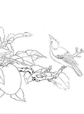 工笔画底稿唐边鸾秋实山禽图小品 白描167#打印稿宣纸稿本店拷贝