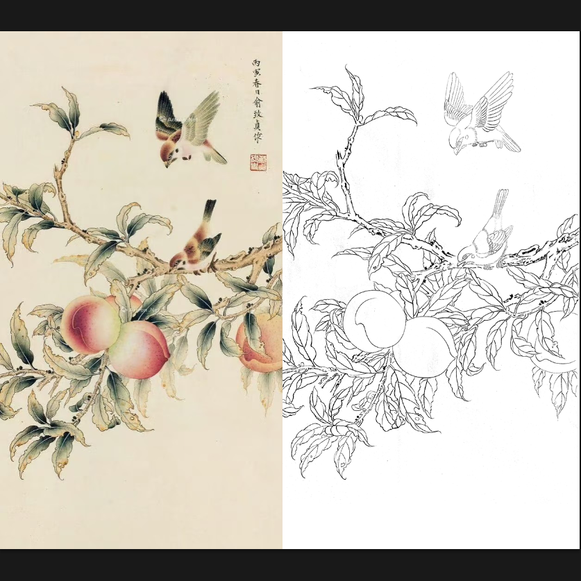 工笔画底稿 俞致贞工笔桃子小鸟白描23#打印稿宣纸稿本店拷贝稿,家居饰品,国画,淘宝优惠券,粉丝福利购,淘宝优惠卷