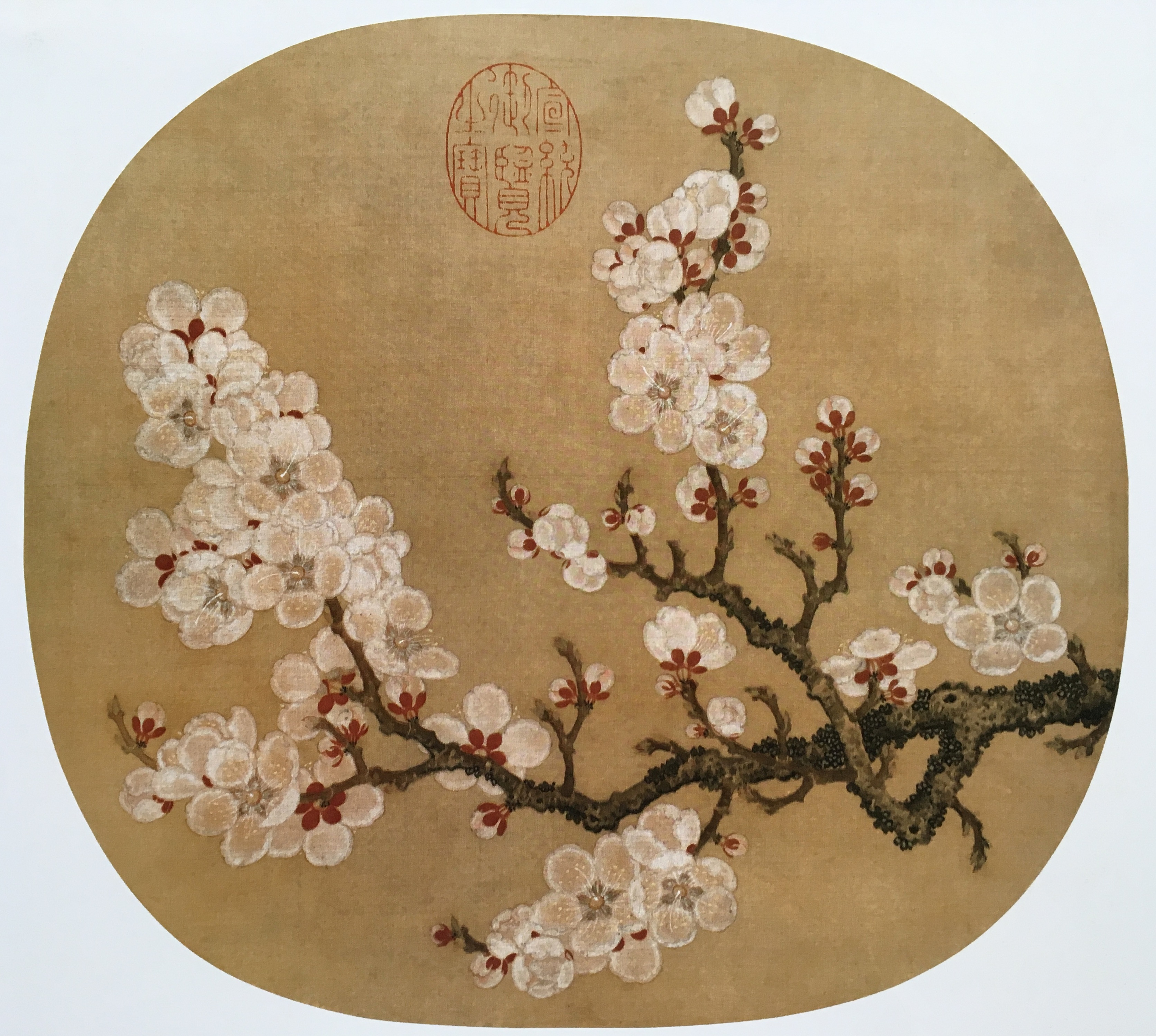工笔画底稿 宋 赵昌 杏花图白描51#打印稿毛笔勾线宣纸稿有步骤图