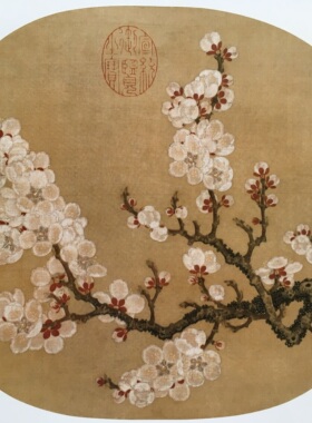 赵昌杏花白描打印稿勾线工笔画