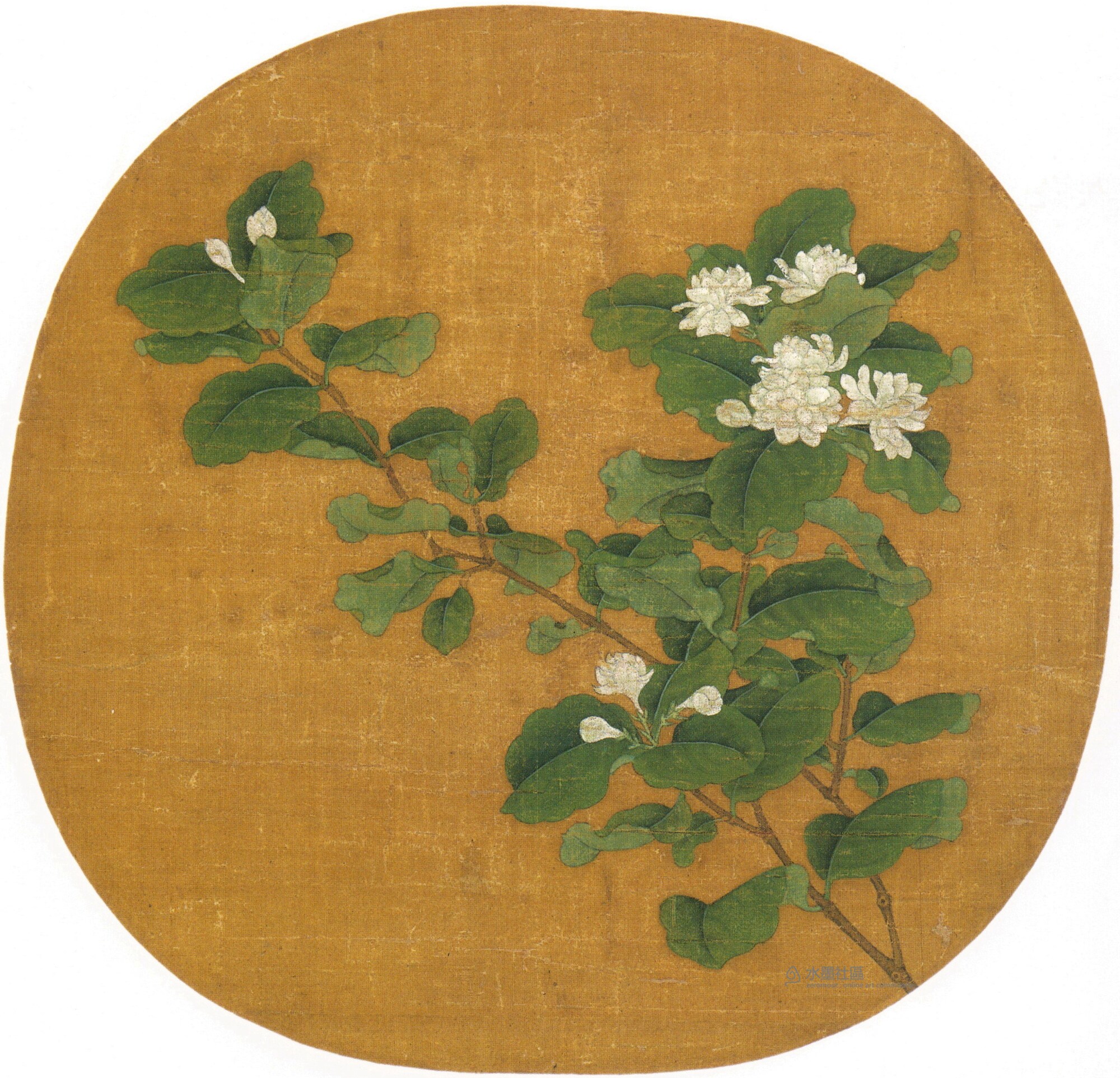 工笔画底稿  宋 赵昌  茉莉花圖頁白描101#打印稿宣纸稿 本店拷贝