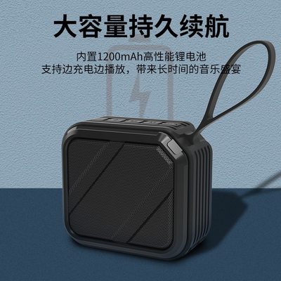 赛柏瑞斯户外音响收音机蓝牙音箱