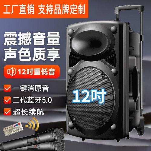 耐嘉特12寸广场舞音箱K歌音响