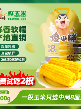 傻小胖1小时锁鲜黄糯玉米黄金八厘米新鲜现摘真空黏玉米非即食