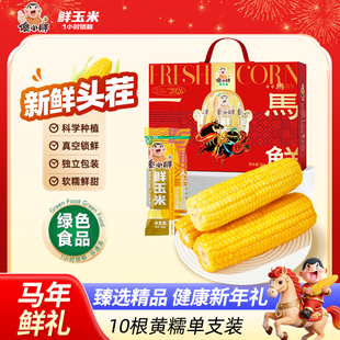 傻小胖马年限定礼盒10支装新鲜玉米早餐甜糯礼盒装玉米真空包装