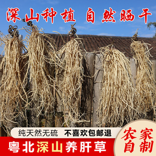 粤北韶关农家养肝草农家晒制丝线根干正宗野生龙须草无硫煲汤料