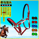 新牵马笼头马具全套配件PVC大小马矮马龙套调教龙头 精骑马术用品