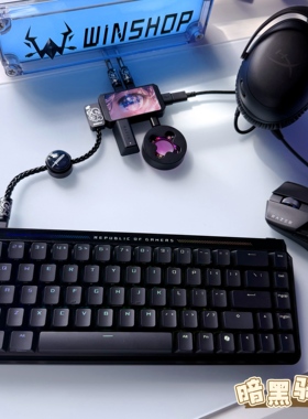 「职业战队同款」WINSHOP HUB 电竞 二拖四数据线 独立供电 桌搭