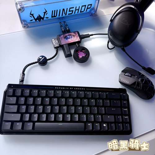 「职业战队同款」WINSHOP HUB 电竞 二拖四数据线 独立供电 桌搭