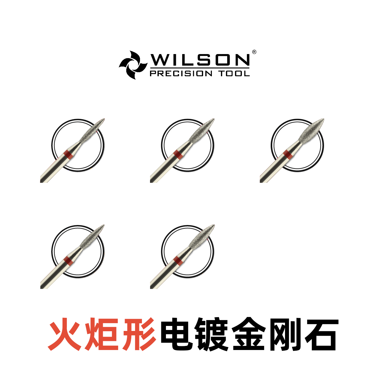 WILSON惠而顺 火炬状F齿 电...