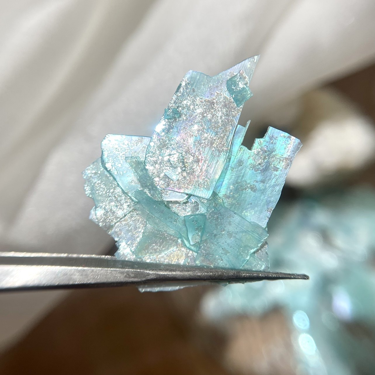 h huang晃晃美甲 贝壳合集一 闪片幻彩 极光偏光 天然云母 贝壳片