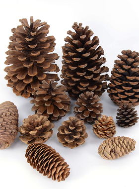 Natural Pine Nuts Fruit Fake Plant Pine Cone Flower Pineappl