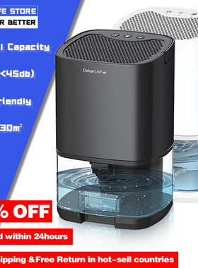 2022 New Portable Premium Dehumidifier and Air Purifier 2 in