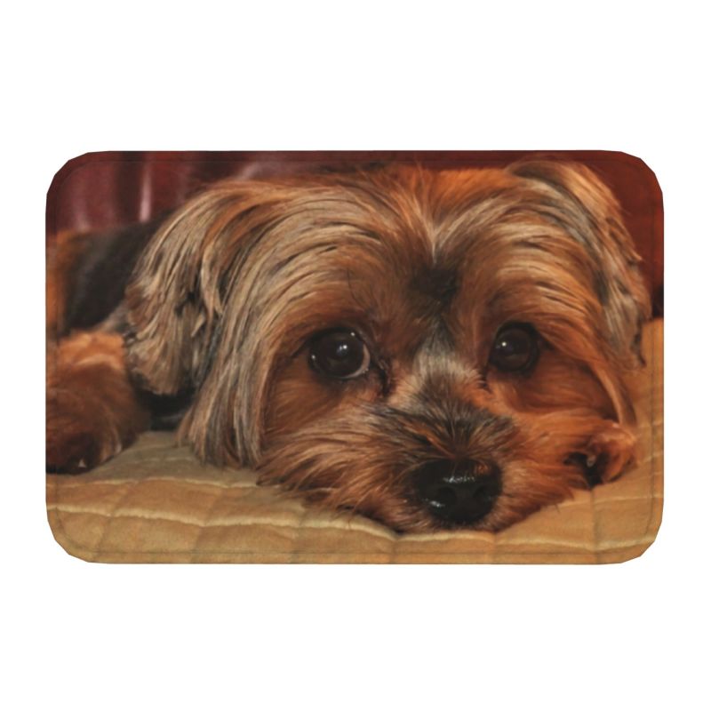 Yorkshire Terrier Yorkie Dog Front Door Mat Anti-Slip Quick