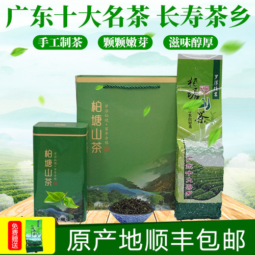 博罗柏塘山茶七月茶客家特级绿茶