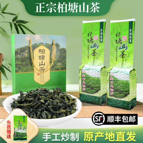 柏塘山茶广东十大名茶特级绿茶