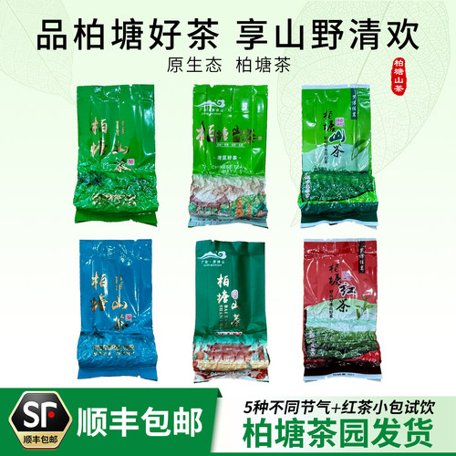 柏塘山茶60g六泡试喝装
