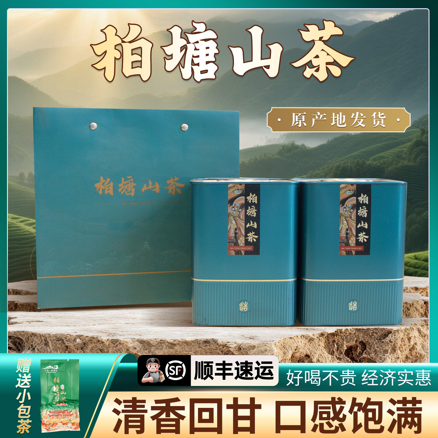 柏塘山茶夏季茶广东十大名茶惠州特产博罗茗茶特级绿茶罗浮山茶叶