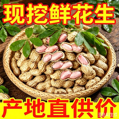 2026现摘现挖头茬新鲜花生农家湿花生花生带壳新鲜湿花生
