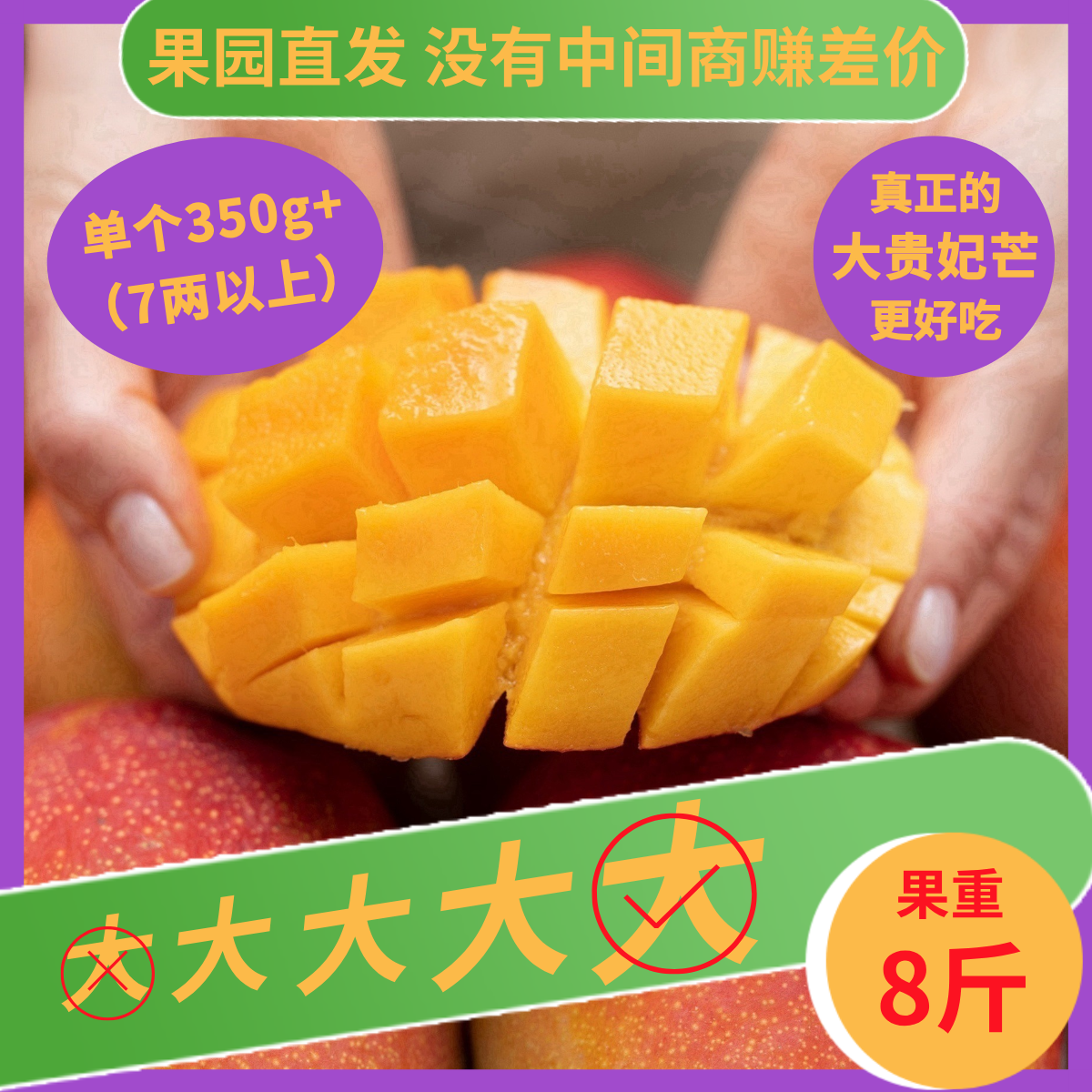 老树贵妃芒果园一级果可供港送礼