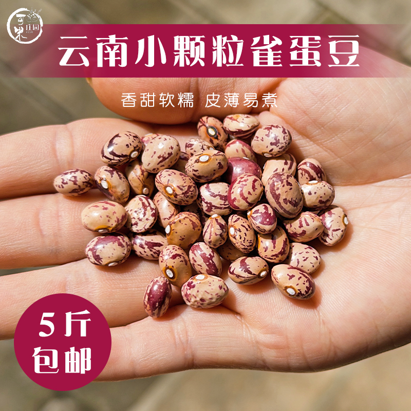 新货云南花芸豆雀蛋豆5斤小颗粒五谷杂粮豆类红豇豆子金丝豆
