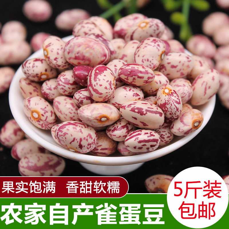 新货云南雀蛋豆子5斤奶花芸豆圆粒熊猫豆白花孔雀豆芙蓉豆类杂粮