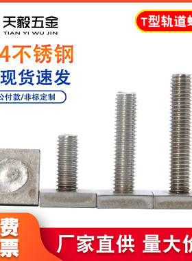 304不锈钢T型轨道螺杆 异形长方形T杆定做焊接螺丝钉M4M6M8M10M12