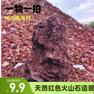 7-20厘米红色火山石大块一物一拍鱼缸造景过滤净化水质培菌拍摄石