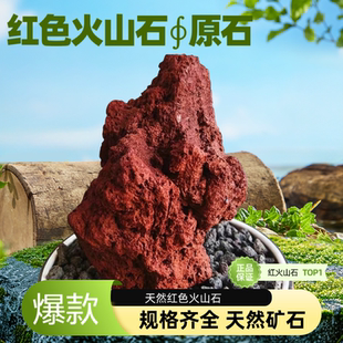 红火山岩石大块园艺多肉石造景水族箱罗汉鱼缸铺面石过滤石头包邮