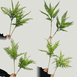 街面花箱装饰仿真绿色蕨草蕨叶森系ins风仿真植物塑料波斯顿草