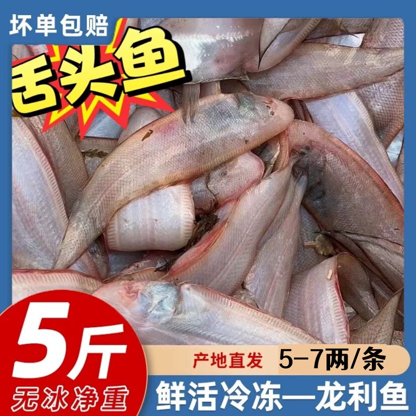 龙头鱼新鲜冷冻舌头鱼海捕龙利鱼板鱼海鱼海鲜水产海鱼舌鳎鱼顺丰