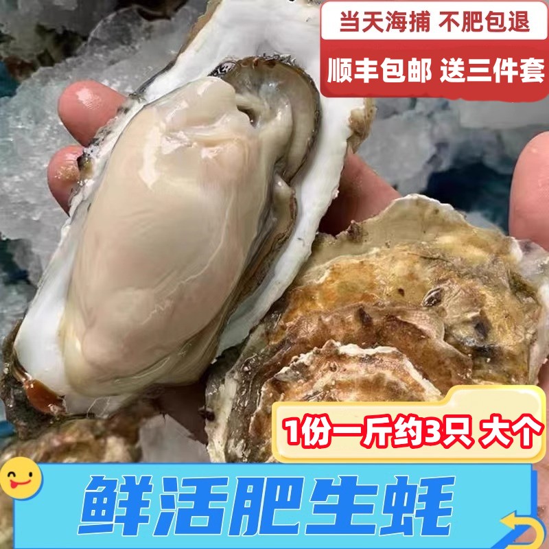 新鲜肥大生蚝包活到家