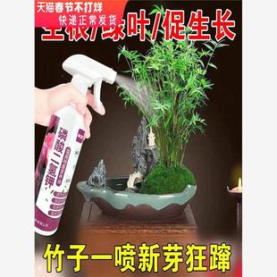 花草营养液通用竹子肥料专用肥红竹米竹黄叶干尖水培土植物活力素