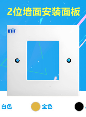BTIT WP2 模块化墙面安装系列 2位墙面安装面板