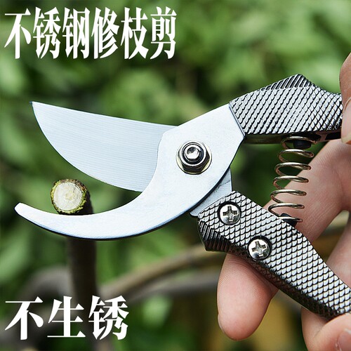 刀头是不修钢材料，不生锈