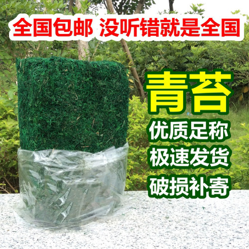 绿色仿真花艺质量怎么样 绿色仿真花艺口碑怎么样 小麦优选