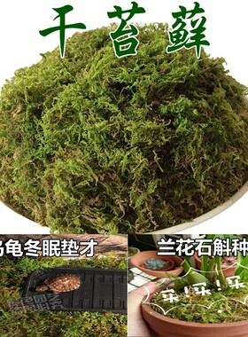 纯天然干苔藓水苔蝴蝶兰花营养土