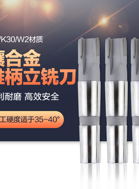 镶硬质合金钨钢锥柄铣刀 焊接钨钢立铣刀Φ40YG  YT W2现货