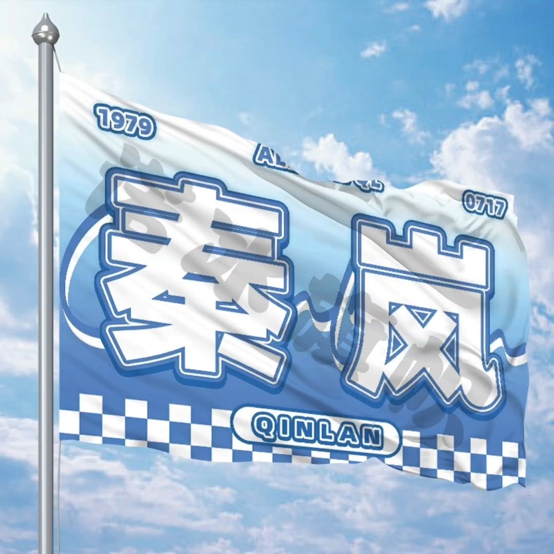 秦岚大旗定制彩旗红旗户外演唱会应援旗音乐节旗帜明星应援旗帜